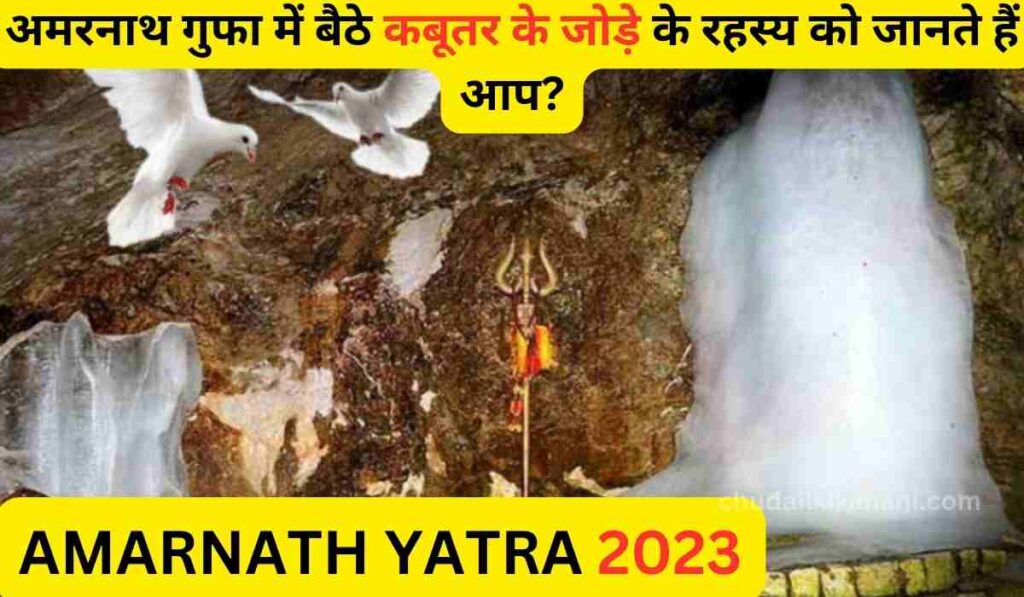 AMARNATH YATRA 2023 : अमरनाथ गुफा में बैठे कबूतर के जोड़े के रहस्य को जानते हैं आप?