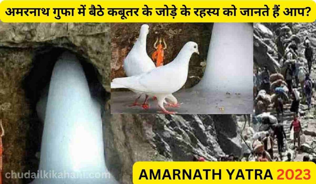 AMARNATH YATRA 2023 : अमरनाथ गुफा में बैठे कबूतर के जोड़े के रहस्य को जानते हैं आप?